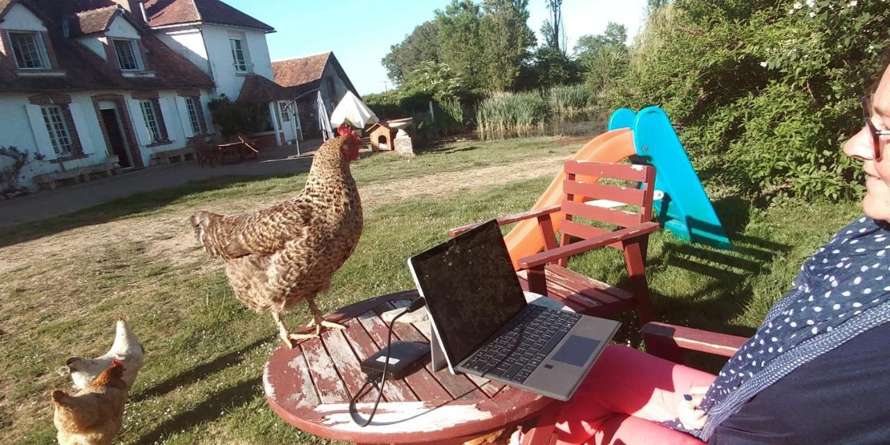 Chambre A La Ferme Saint-Martin-des-Champs  Exteriör bild