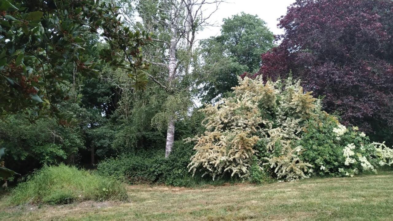 Chambre A La Ferme Saint-Martin-des-Champs  Exteriör bild
